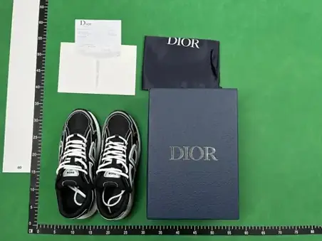 DIOR B30