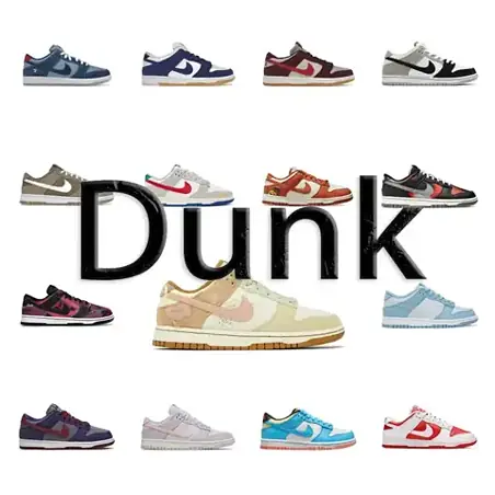Nike Dunk Sneakers