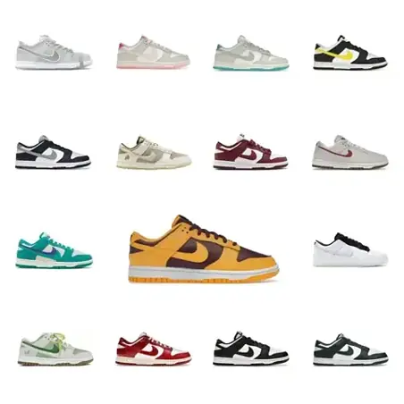 Nike Dunk Sneakers
